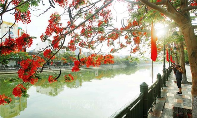 Hai Phong to host first National Sea and Island Folk Culture Festival 