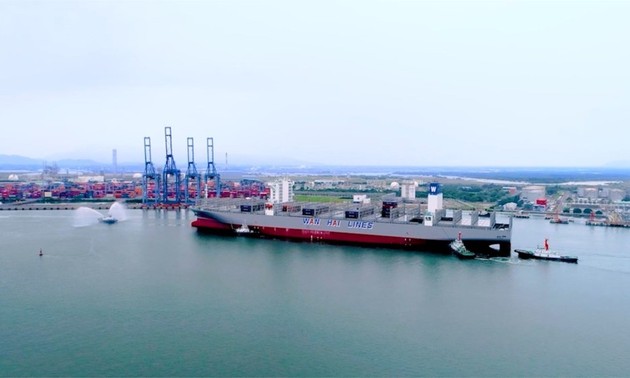 Cai Mep-Thi Vai upgraded to international transshipment port