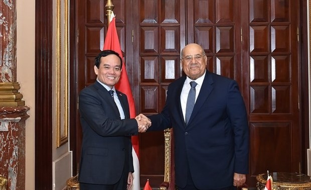 Vietnam wants to strengthen multifaceted cooperation with Egypt, says Deputy PM