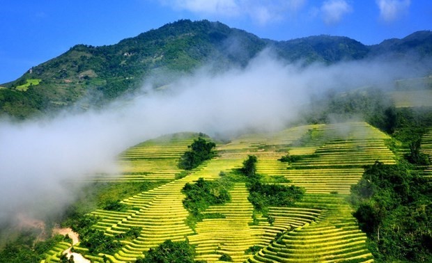 Culture Week held to celebrate 120 years of tourism in Sapa