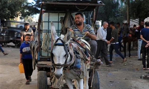 Israel renews call for Gazans to flee key southern city