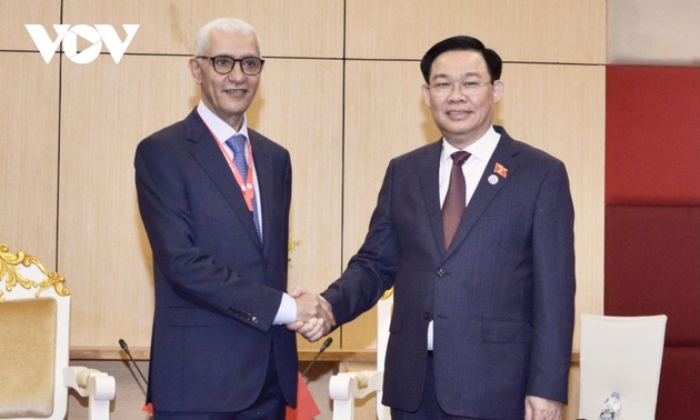 Việt Nam và Maroc tăng cường hợp tác song phương và đa phương