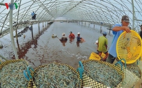 越南企业建议政府与中国谈判加大对中国市场的农产品正贸出口