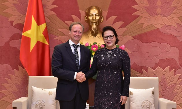 阮氏金银会见欧盟驻越南代表团团长安格莱特