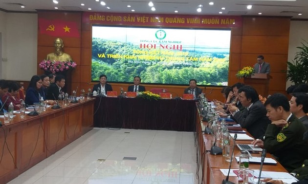 越南林业2020年面向维持增长并扩大市场