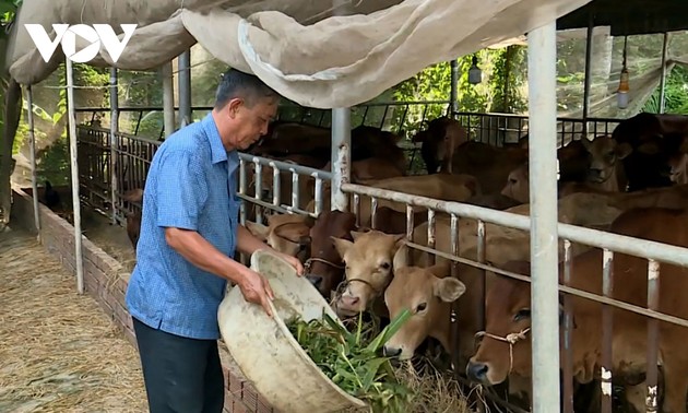 越南优秀农民杨文造一心一意帮助贫困户