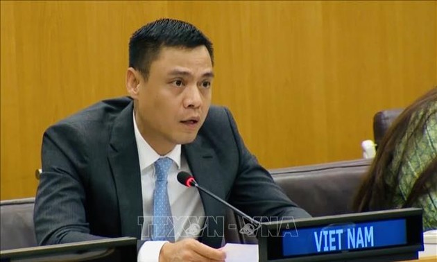 越南继续为联合国开发计划署的共同事务做出贡献