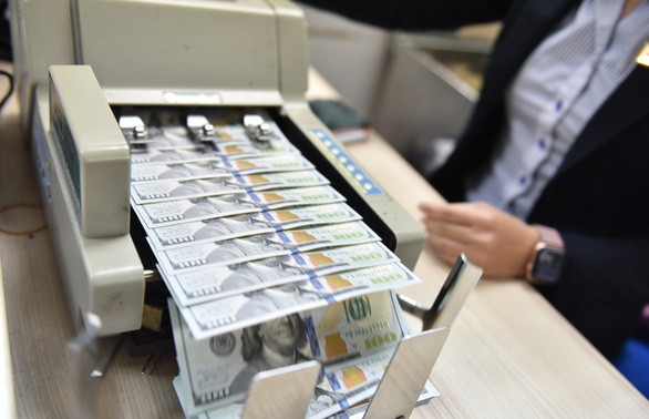 越南国家银行将美元兑越盾的汇率区间调整为 5%