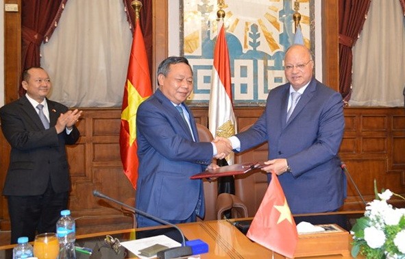 促进越南-埃及两国首都全面合作