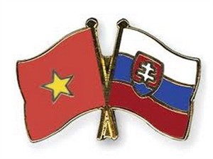 HCM City to promote links with Slovak localities