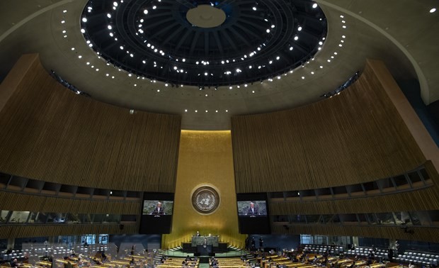 Iran, Central African Republic lose voting rights in UN General Assembly