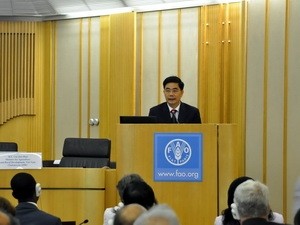 Vietnam participa en la 144 reunión del Consejo de la FAO