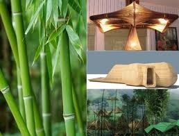  Artículos de bambú en la vida de los vietnamitas 