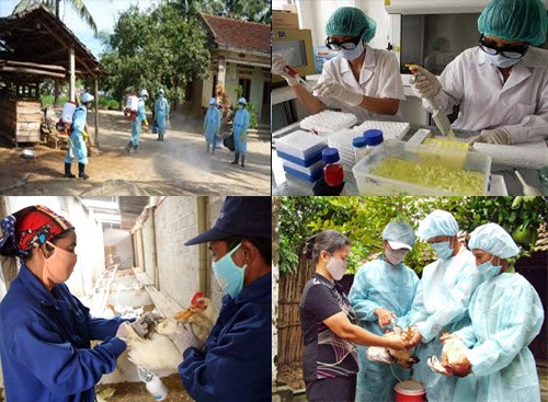 Localidades vietnamitas se preparan ante posibles contagios de H7N9