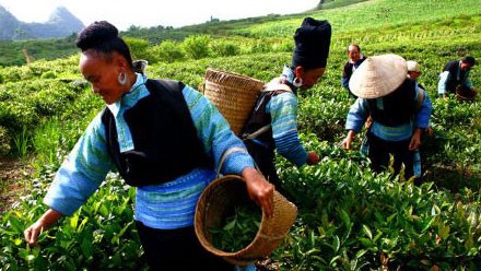 Vietnam entra en el top de los países con mejores logros en reducción de pobreza 