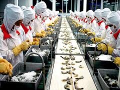 Vietnam solicita a México revisar prohibición de sus camarones congelados