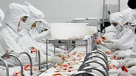 Exportaciones de camarón aumentan 38% comparado con el mismo período