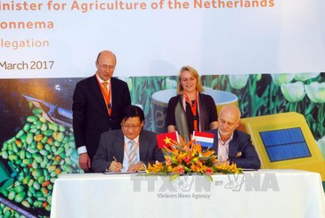 El cambio climático y la agricultura, dos áreas prioritarias en la cooperación Vietnam-Holanda