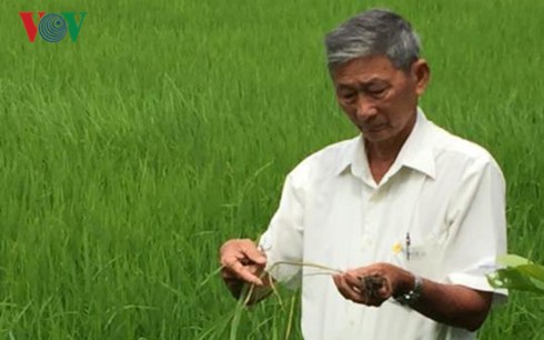 Tran Cong Len apasionado por la ayuda a los agricultores 