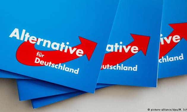 AfD superará al SPD para convertirse en el segundo partido más grande en Alemania