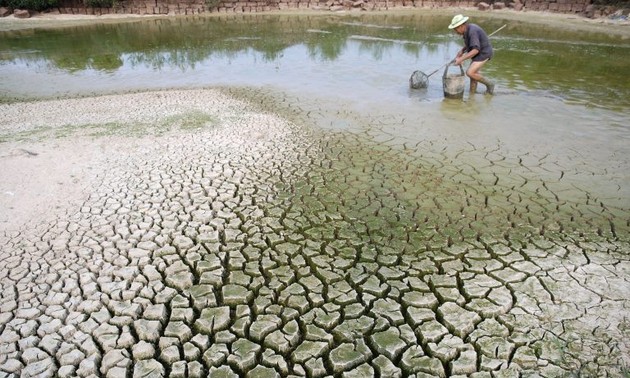 Vietnam se une a la comunidad internacional en la lucha contra efectos del cambio climático