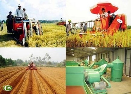 Transformaciones en espacios rurales de Vietnam después de 10 años de aplicación de la Resolución 26