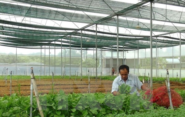 Vietnam por desarrollar una agricultura ecológica con aplicación de la nanotecnología