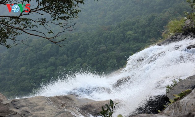 La majestuosa belleza de la cascada de Do Quyen