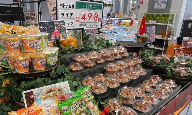 Primer loto de lichi fresco de Vietnam llega a supermercados de Japón