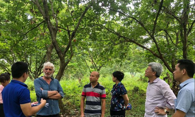 Expertos de la Red Global de Geoparques aprecian esfuerzos de Cao Bang en preservar valores de su reserva