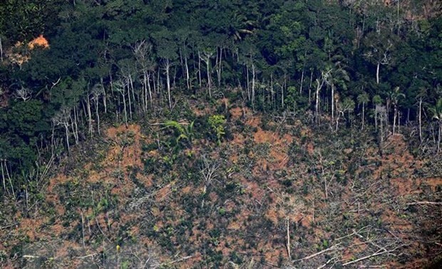 Brasil pide más inversión internacional para prevenir la deforestación del Amazonas