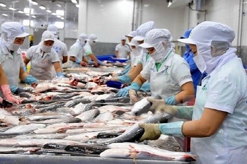 Estados Unidos anuncia resultados de revisión antidumping de pescados sin escamas de Vietnam