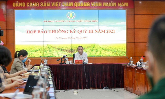 Exportaciones agroforestales de Vietnam siguen creciendo con impulso