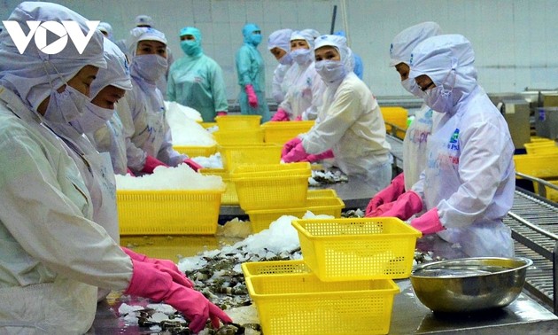 Vietnam figura entre los siete países exportadores de camarón más grandes del mundo