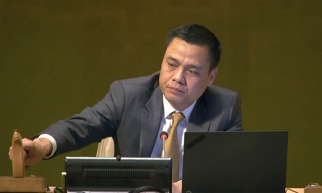 Vietnam y otros países proponen consultar a la Corte Internacional de Justicia sobre el tema del cambio climático