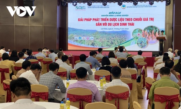 Vietnam busca promover el valor de hierbas medicinales en el ecoturismo