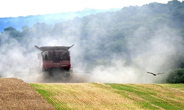 UE planea frenar importaciones agrícolas ucranianas