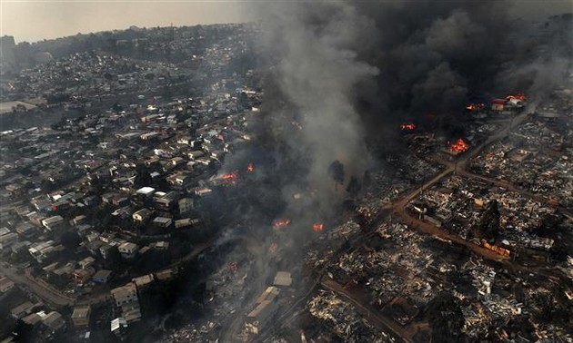 Al menos 46 personas murieron por los incendios forestales en Chile