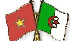 Meeting marks Vietnam-Algeria diplomatic ties
