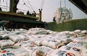 Vietnam rice exports reach 7 million tons