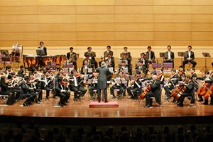 Concert to mark Vietnam-Italy diplomatic ties