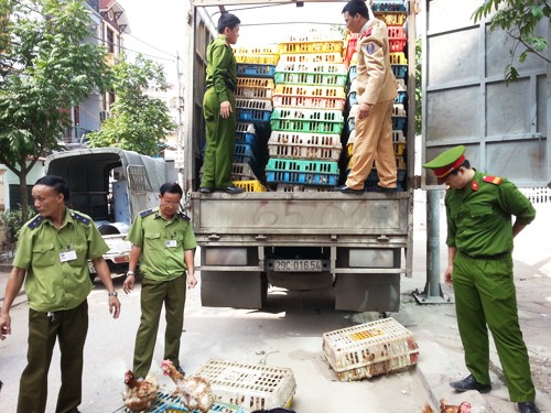 Vietnam strengthens precautions against bird flu