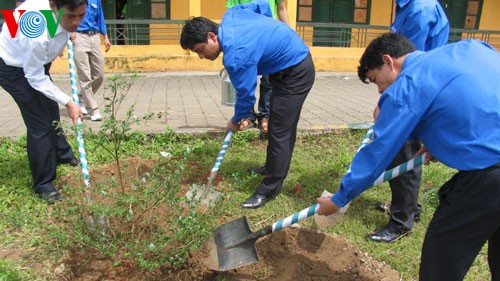 Many provinces launch tree planting campaign