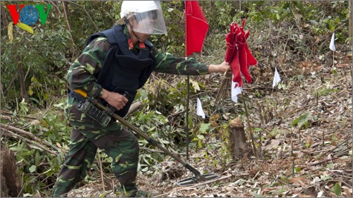 Vietnam, Australia deal with bombs and mines 
