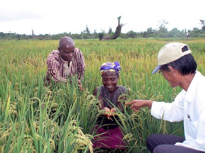 Vietnam pledges support for Africa’s food security