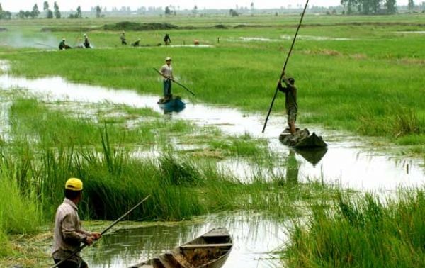 Project enhances climate change resilience of Mekong Delta provinces