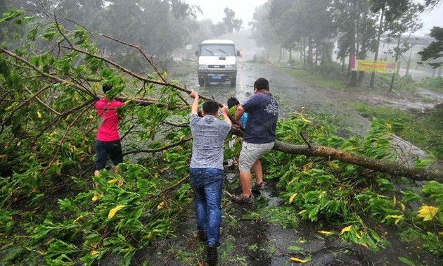 Overcoming typhoon Rammasun’s aftermaths
