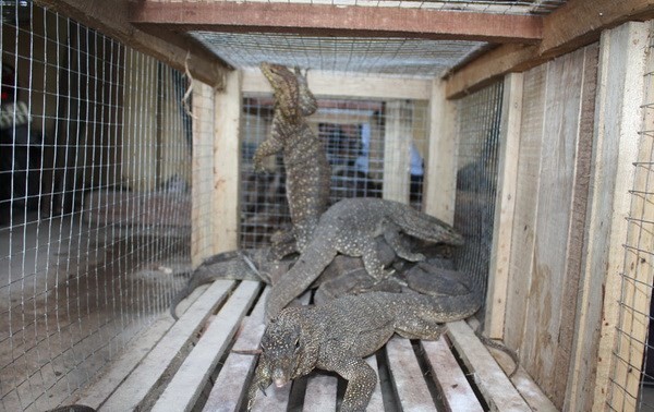 Vietnam to reduce the use of wildlife animals