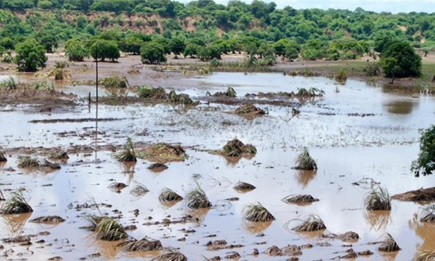 Vietnam donates 200,000 USD to Mozambican flood victims