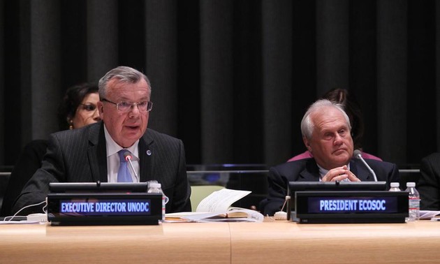 UN General Assembly: violent crime reduction enables development